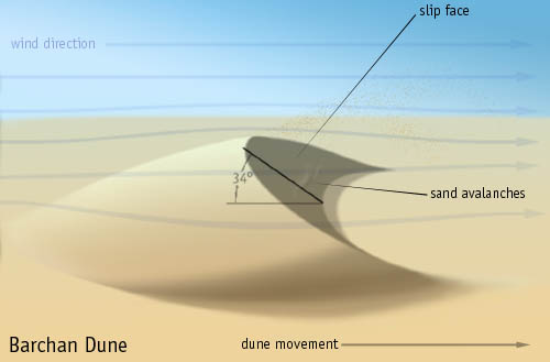The characteristics of a terrestrial barchan dune (http://commons.wikimedia.org/wiki/Image:Barchan.jpg)