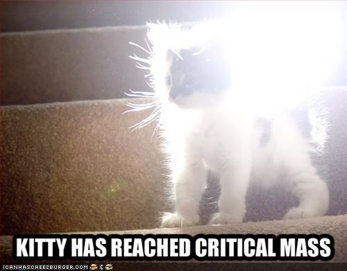 funny-pictures-cat-reaches-critical-mass
