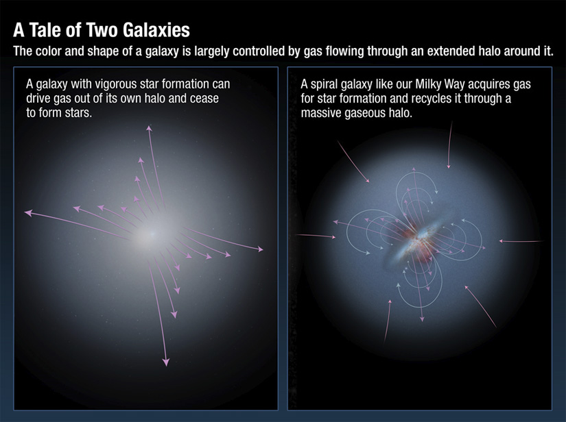 Some galaxies undergo a rapid star formation phase, losing stellar gases to intergalactic space, others choose to recycle, thereby extending their star forming lifespans.