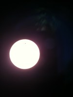 The Venus transit seen through a white light solar telescope.